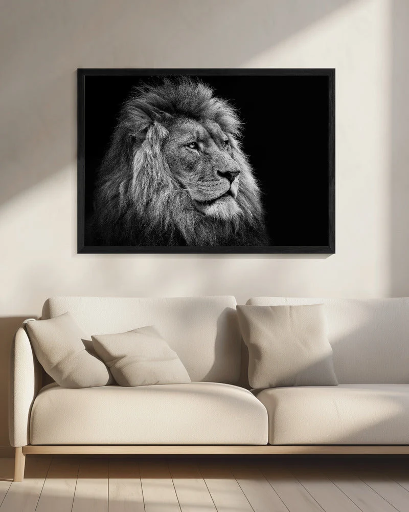 Wall art Lion - Image 8
