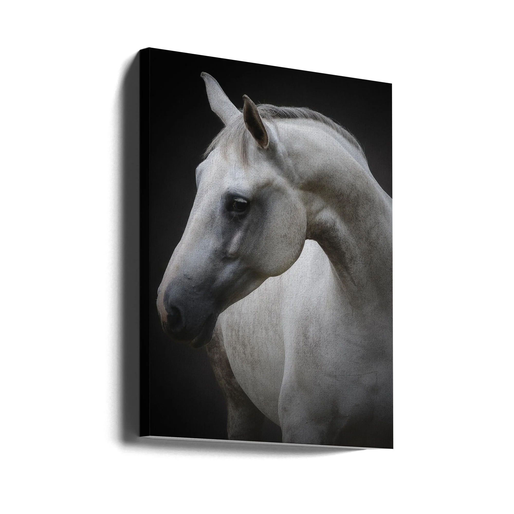 Wall art Maggie. Horse