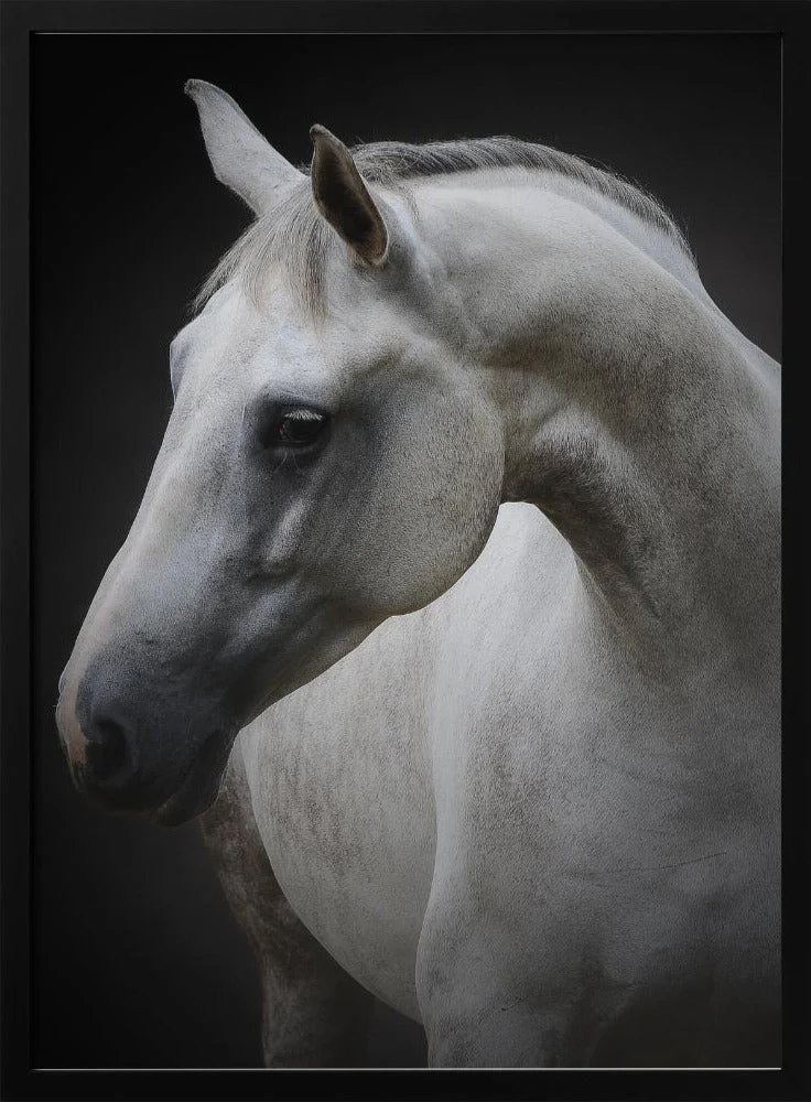 Wall art Maggie. Horse - Image 3