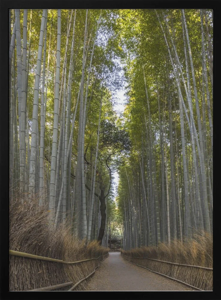 Wall art Mighty Arashiyama bamboo forest - Image 3