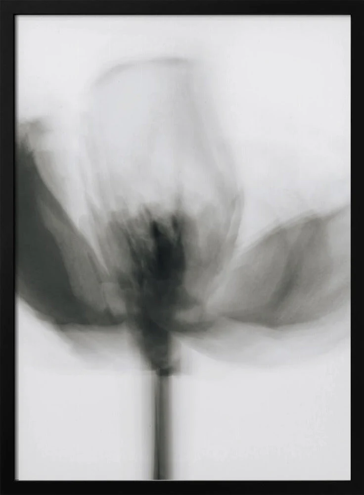 Wall art Mono Tulip - Image 3
