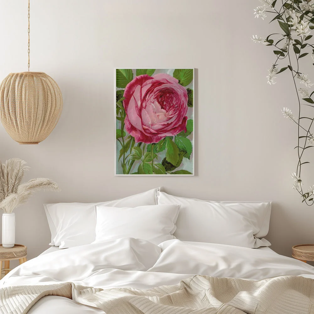 Wall Art Pink Rose, Mrs John Laing Lithograph - Image 11