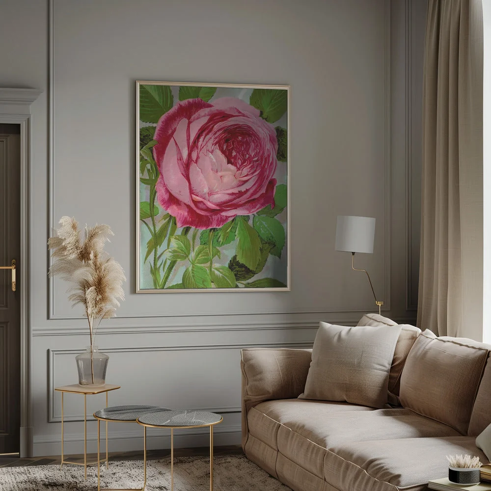 Wall Art Pink Rose, Mrs John Laing Lithograph - Image 12