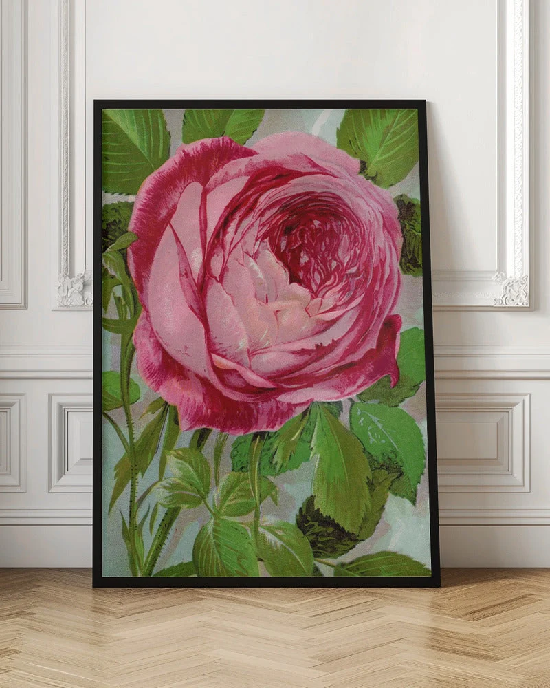 Wall Art Pink Rose, Mrs John Laing Lithograph - Image 4