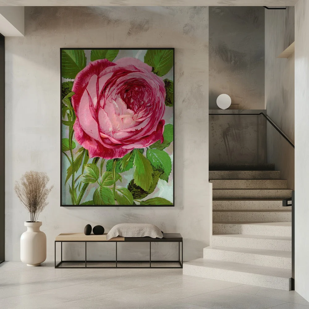 Wall Art Pink Rose, Mrs John Laing Lithograph - Image 7