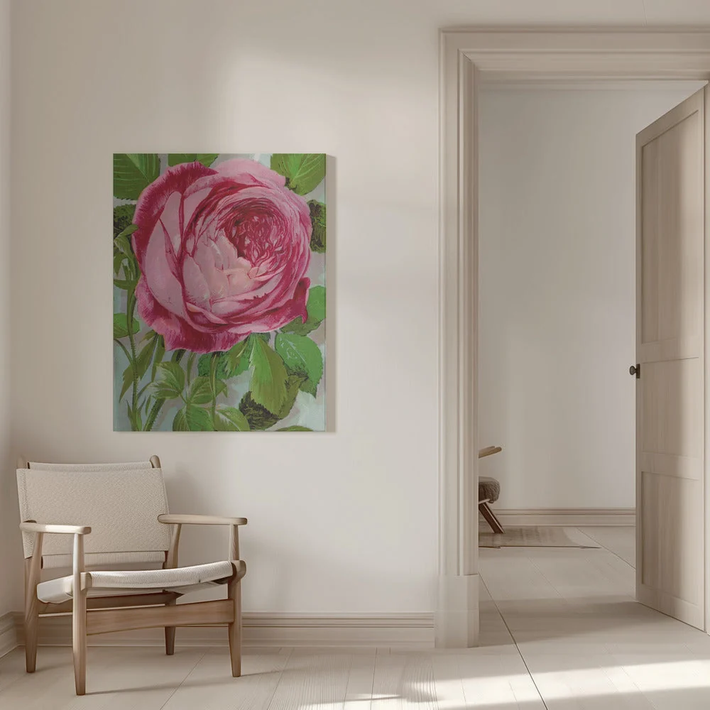 Wall Art Pink Rose, Mrs John Laing Lithograph - Image 9