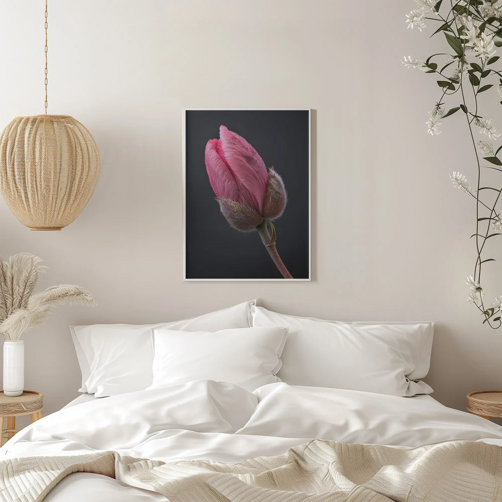 Wall art Pink Tulip 1 - Image 11