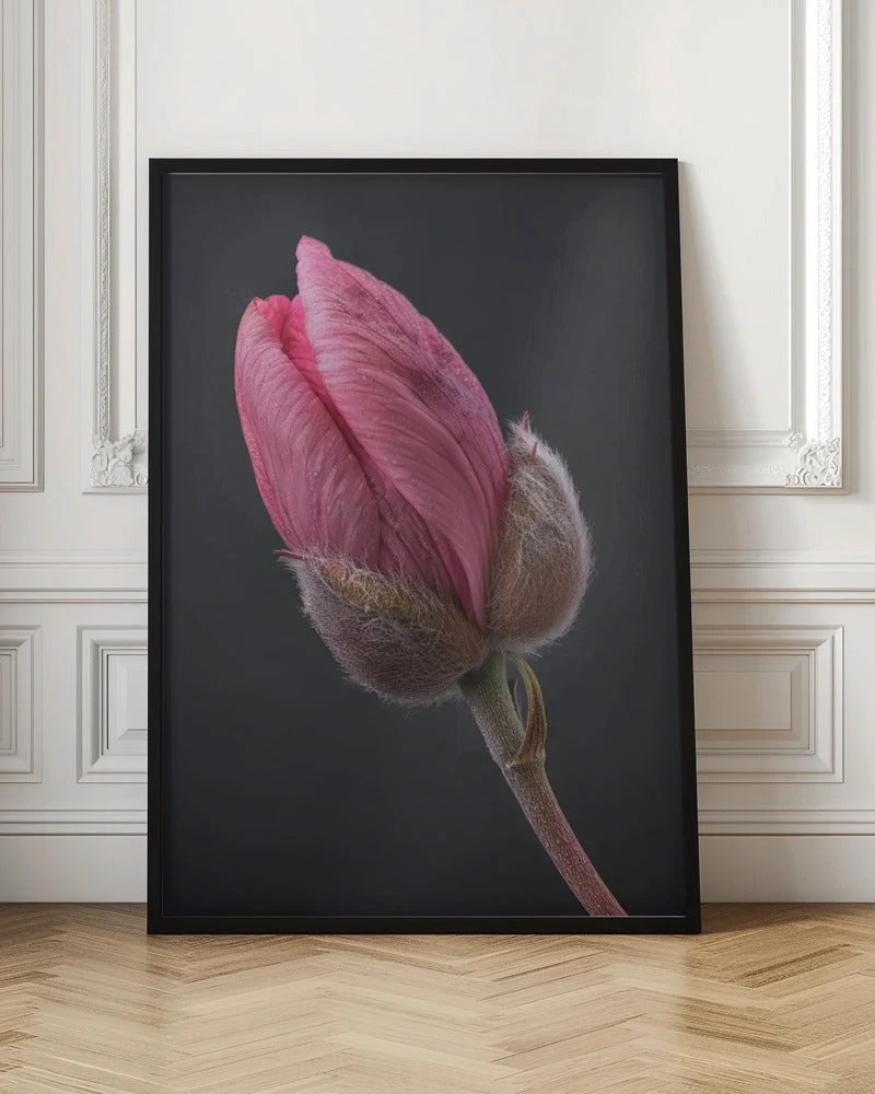 Wall art Pink Tulip 1 - Image 4