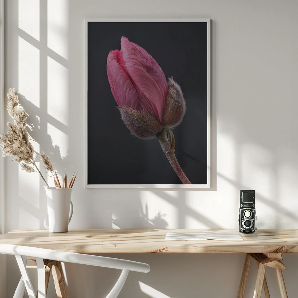 Wall art Pink Tulip 1 - Image 6
