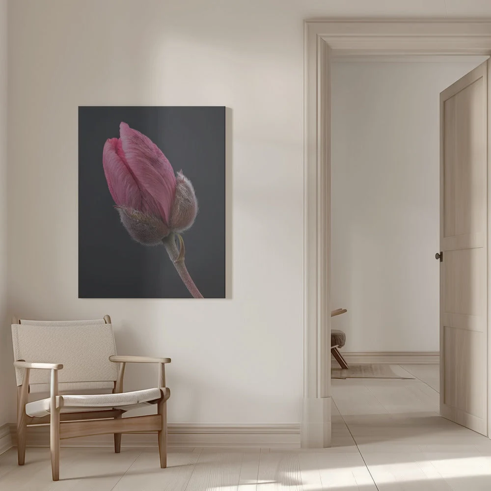 Wall art Pink Tulip 1 - Image 9