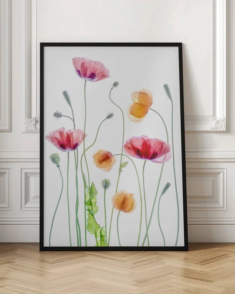 Wall art Poppies1 - Image 4