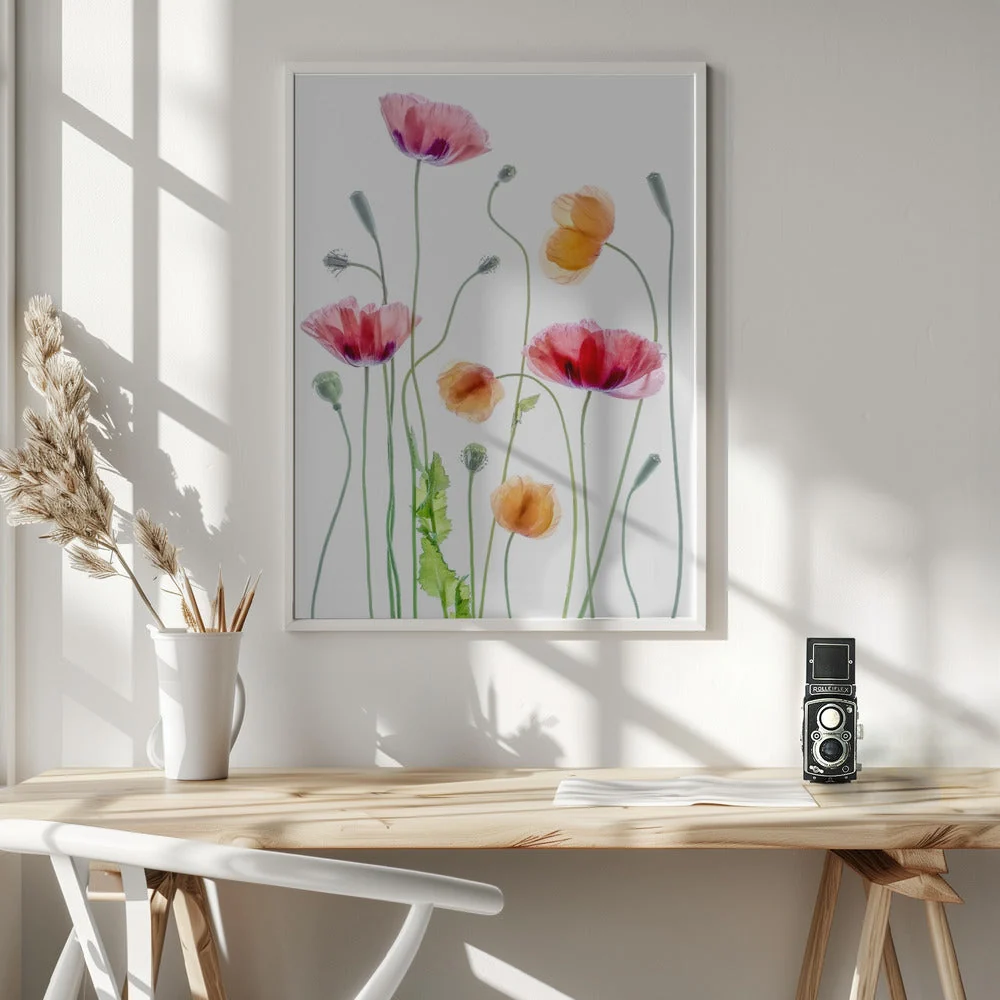 Wall art Poppies1 - Image 6