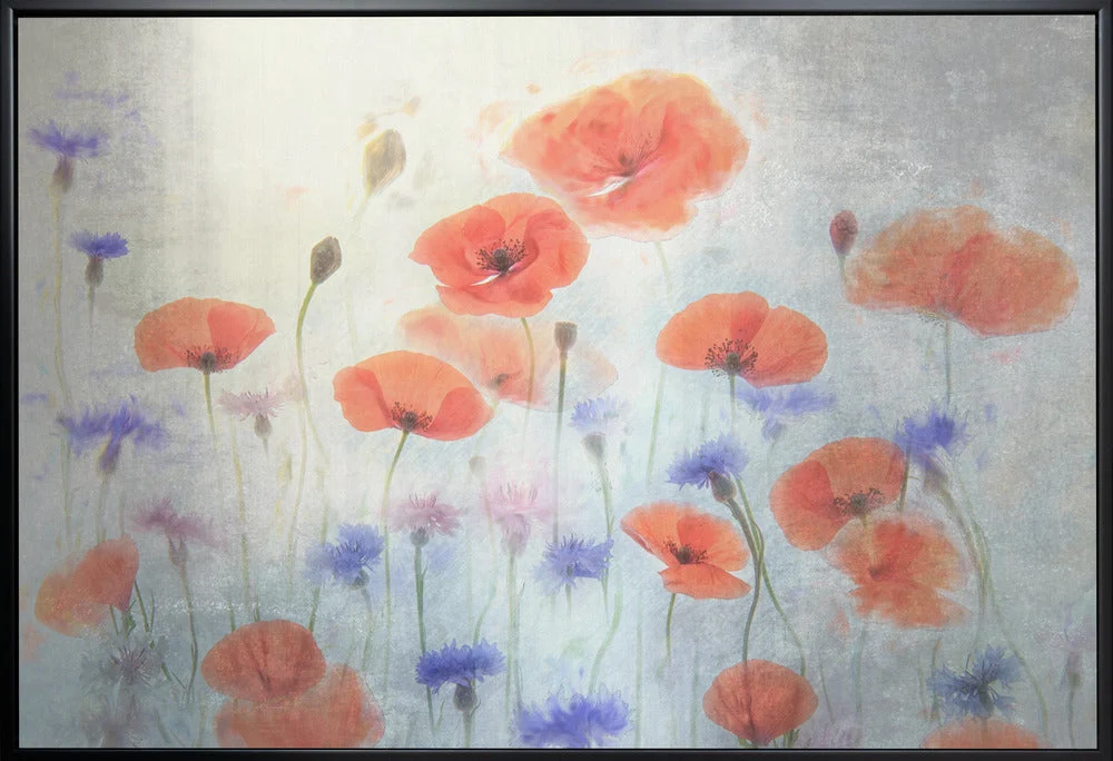 Wall Art Poppy - Image 3