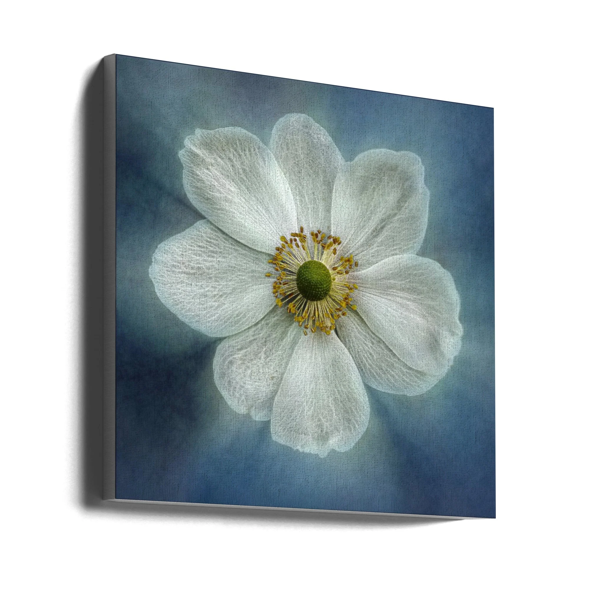 Wall Art Princes Anne-Mone - Image 3