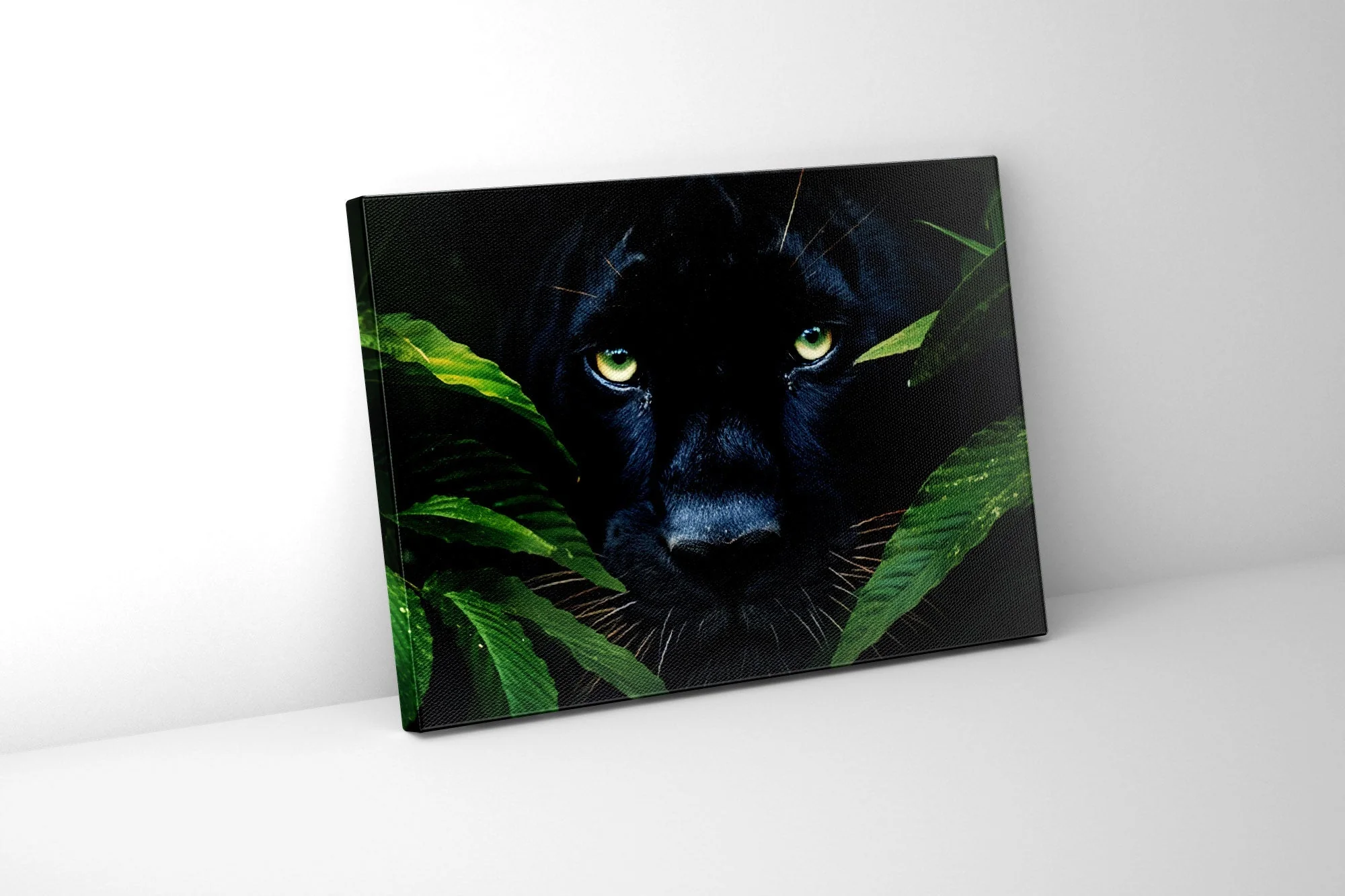 Wall Art-Rare Black Jaguar -Wildlife Canvas - Image 2