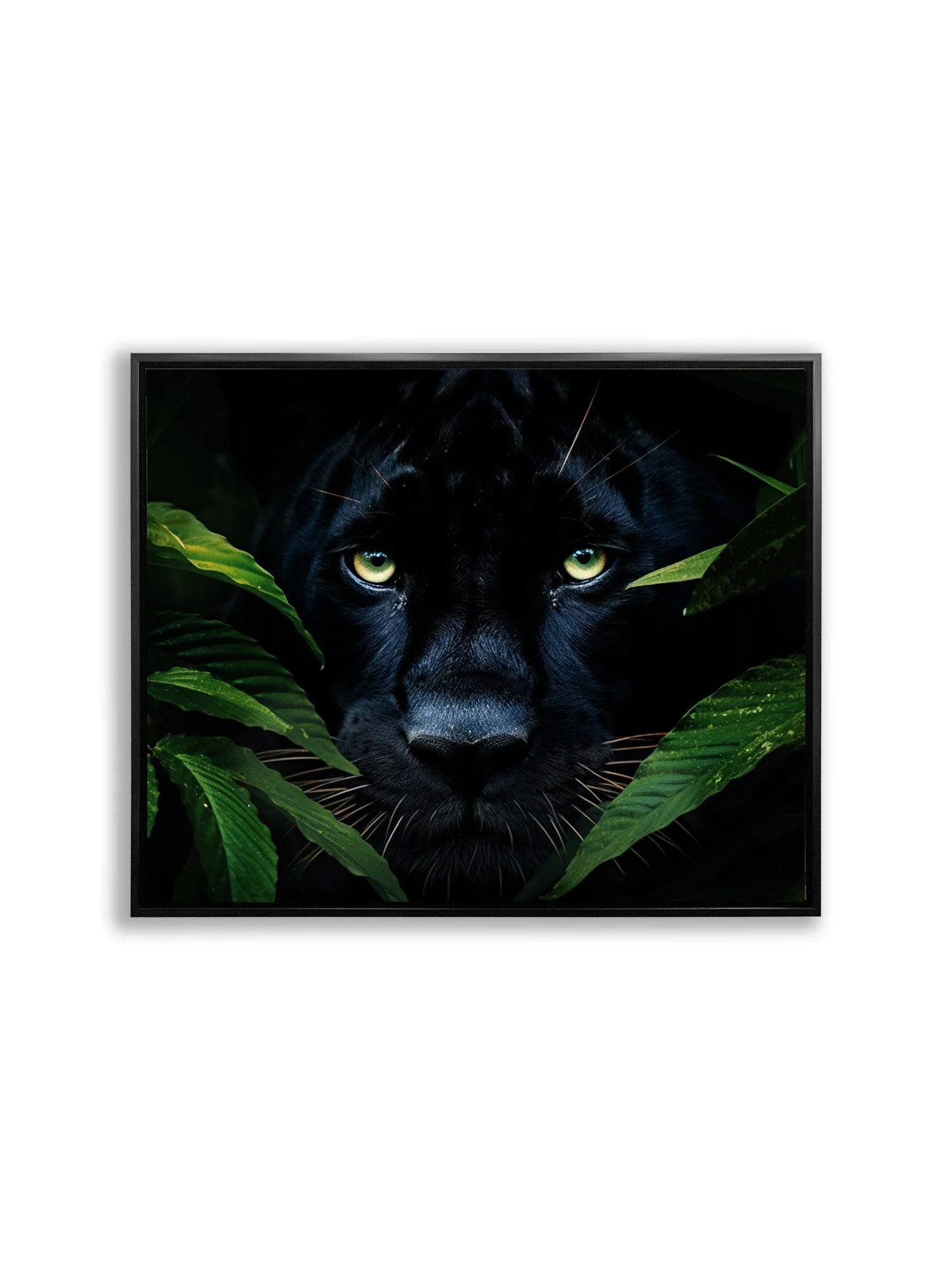 Wall Art-Rare Black Jaguar -Wildlife Canvas - Image 4