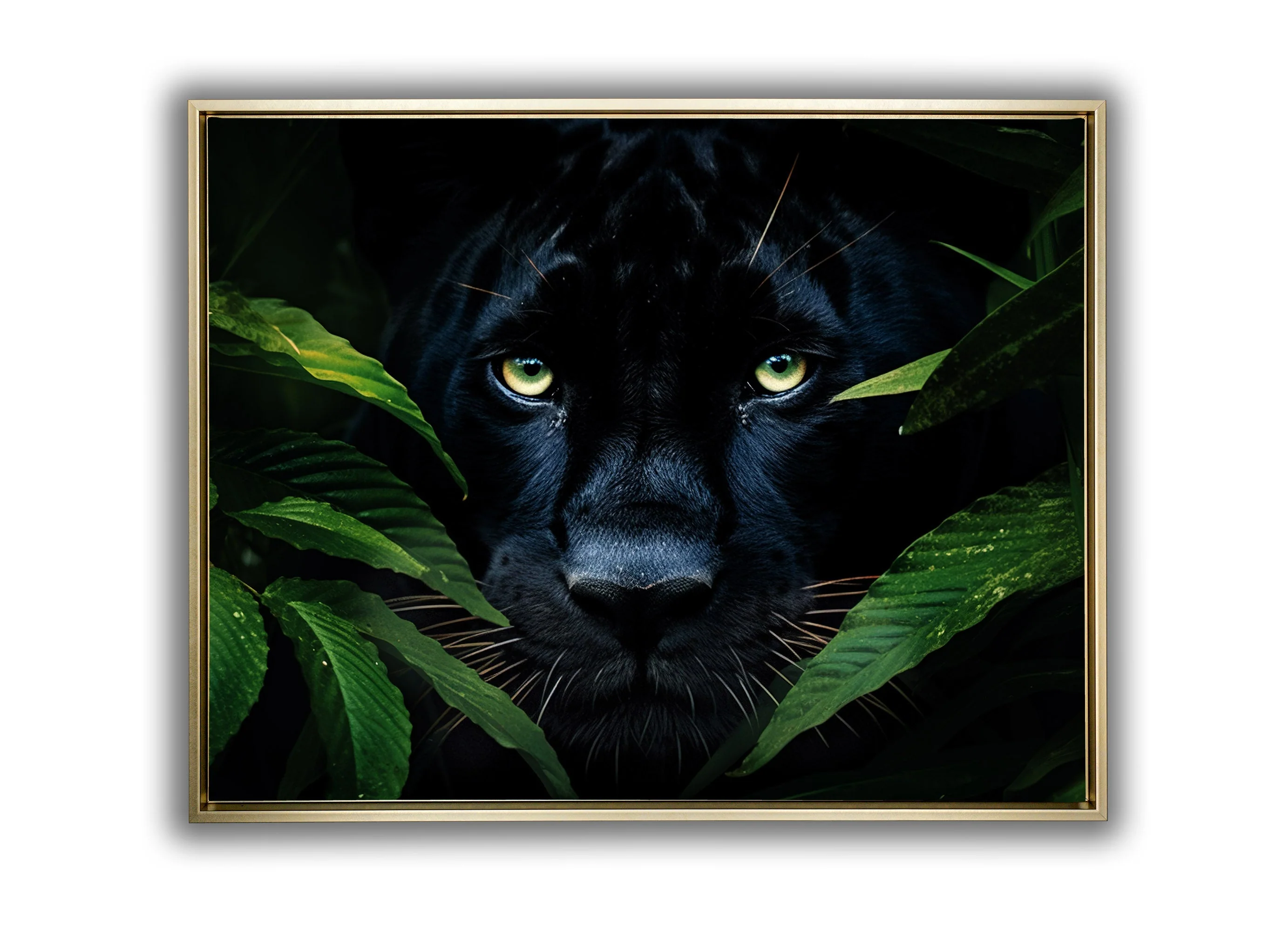 Wall Art-Rare Black Jaguar -Wildlife Canvas - Image 8