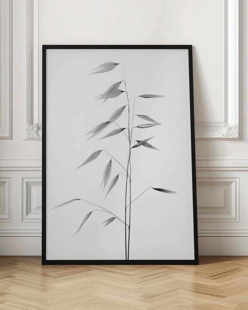 Wall art Sharpness of the nature - Image 4