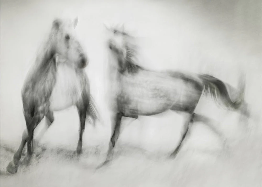 Wall art Shivers - Image 10