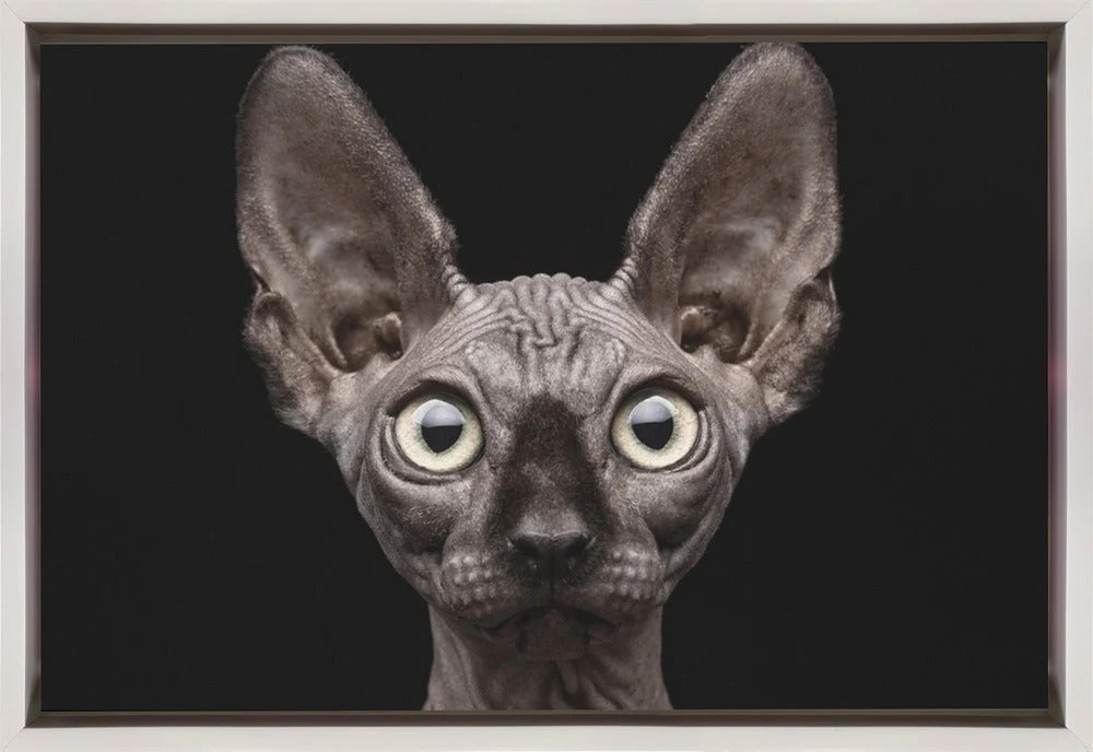Wall art Sphynx Cat - Image 2