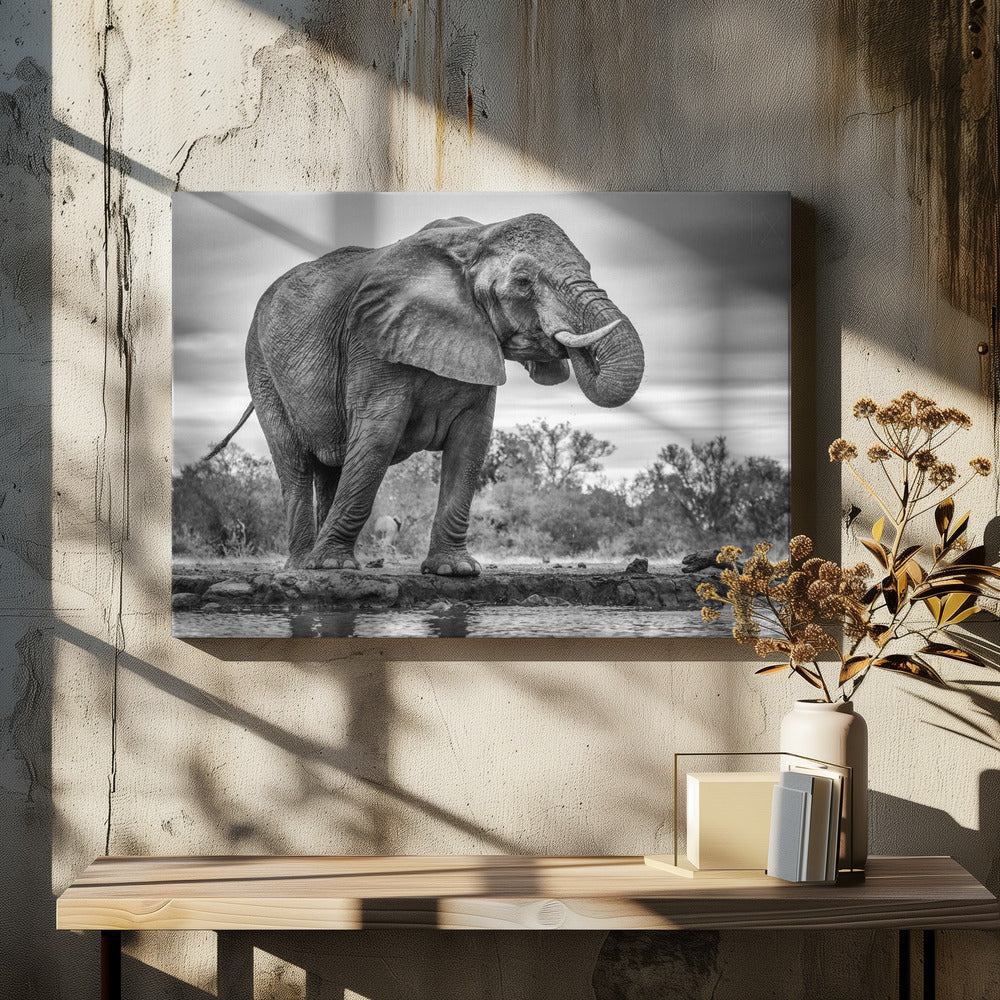 Wall art Standing Proud. Elephant - Image 5