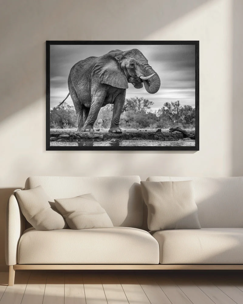 Wall art Standing Proud. Elephant - Image 8