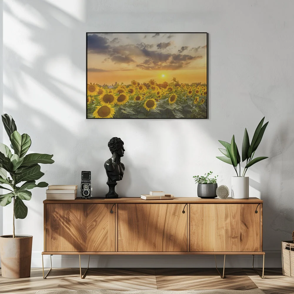 Wall art Sunflower field at sunset | Panoramic View - Image 6