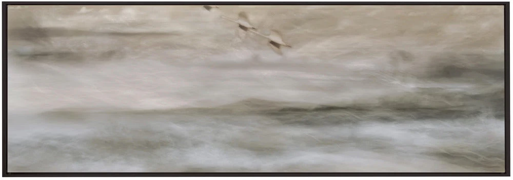 Wall art Swans over sea - Image 5