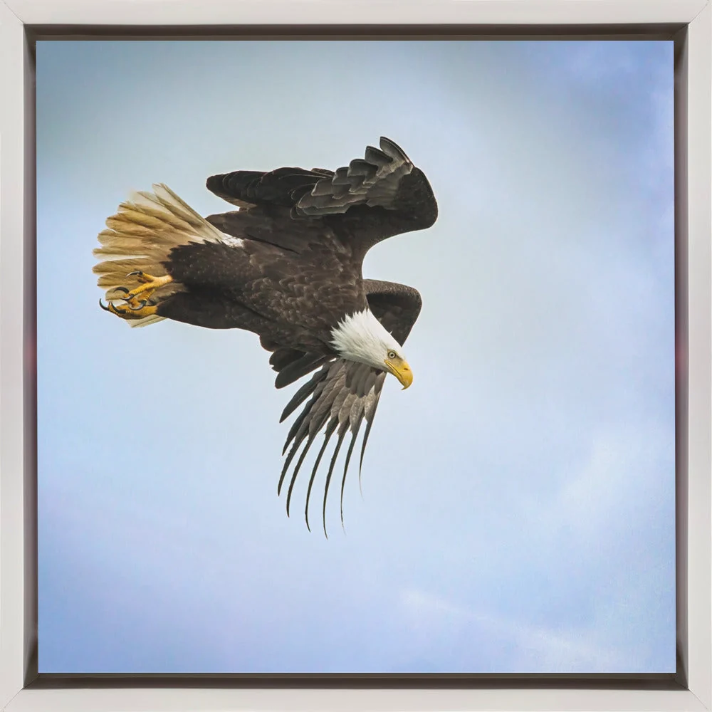 Wall art Taking Flight - Image 2