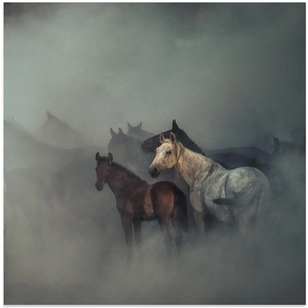 Wall art The lost horses - Image 3