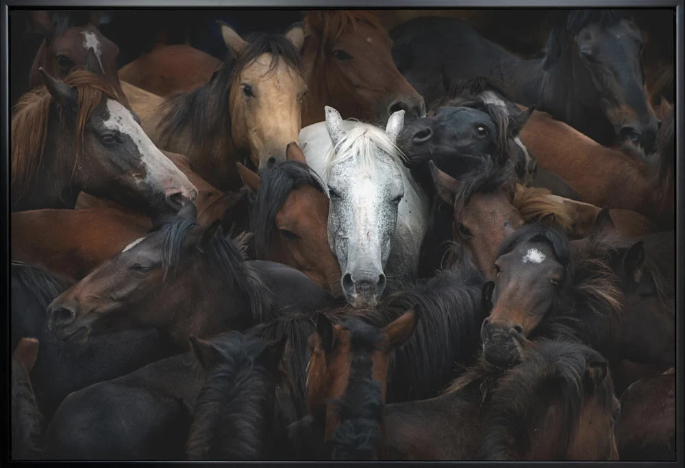 Wall art: The White Horse - Image 3