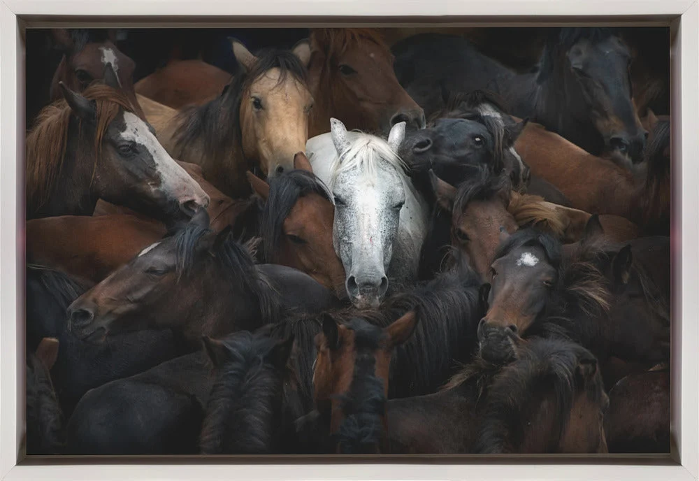 Wall art: The White Horse - Image 4