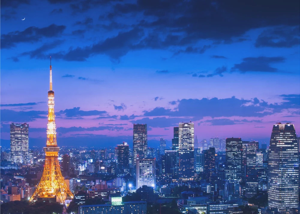 Wall art Tokyo night view - Image 4