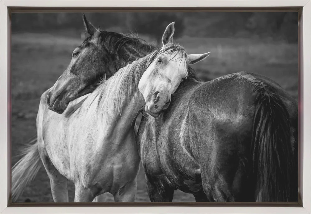 Wall art Warm rain Horses Canvas Print - Image 2