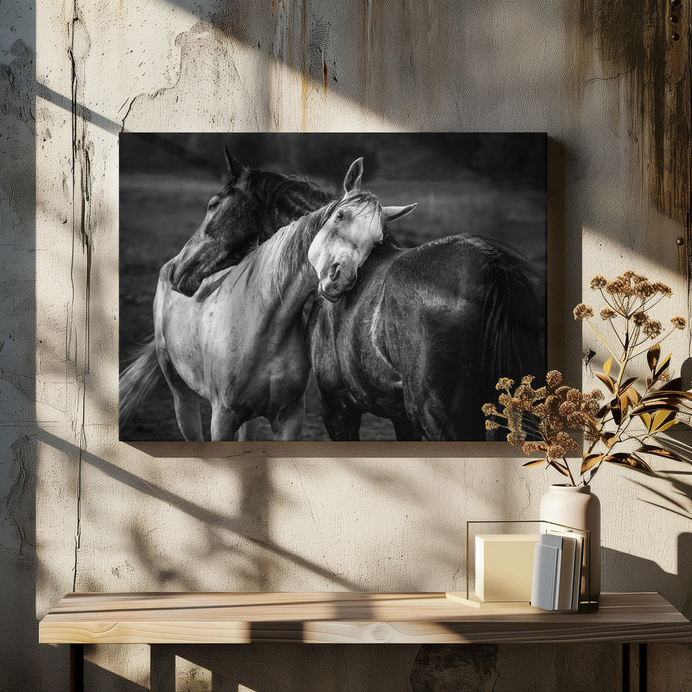 Wall art Warm rain Horses Canvas Print - Image 5