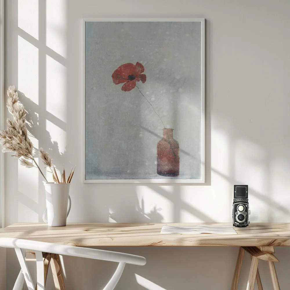 wall art Winter Poppy - Image 6