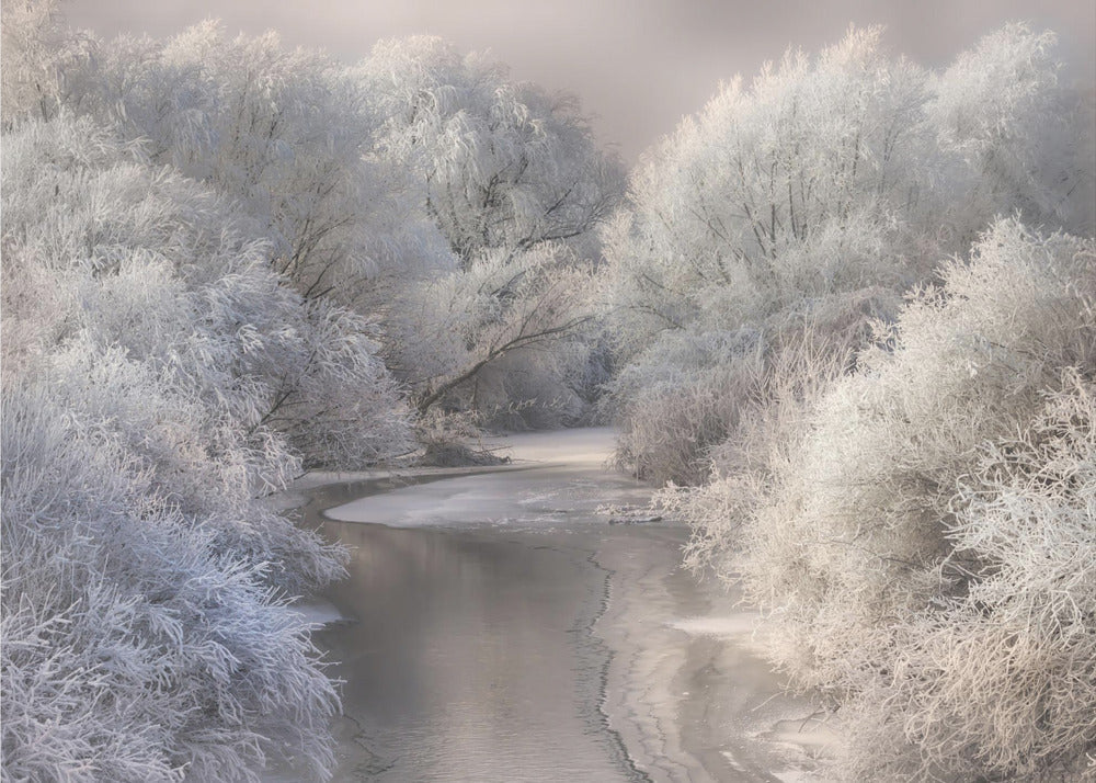 Wall art Winter Song Canvas Print - Image 4