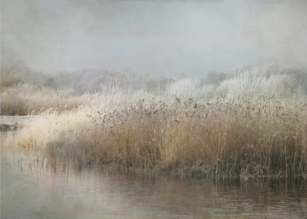 Wall art Wintermorning - Image 2