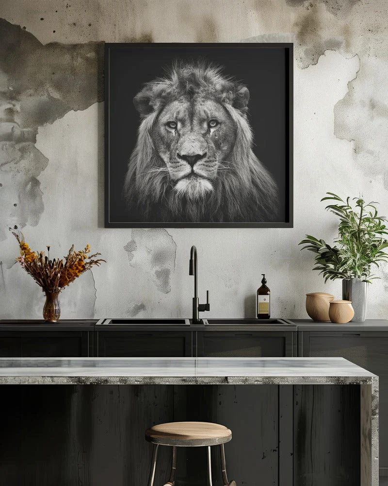 Wall art Young Male Lion Canvas Print - Image 8