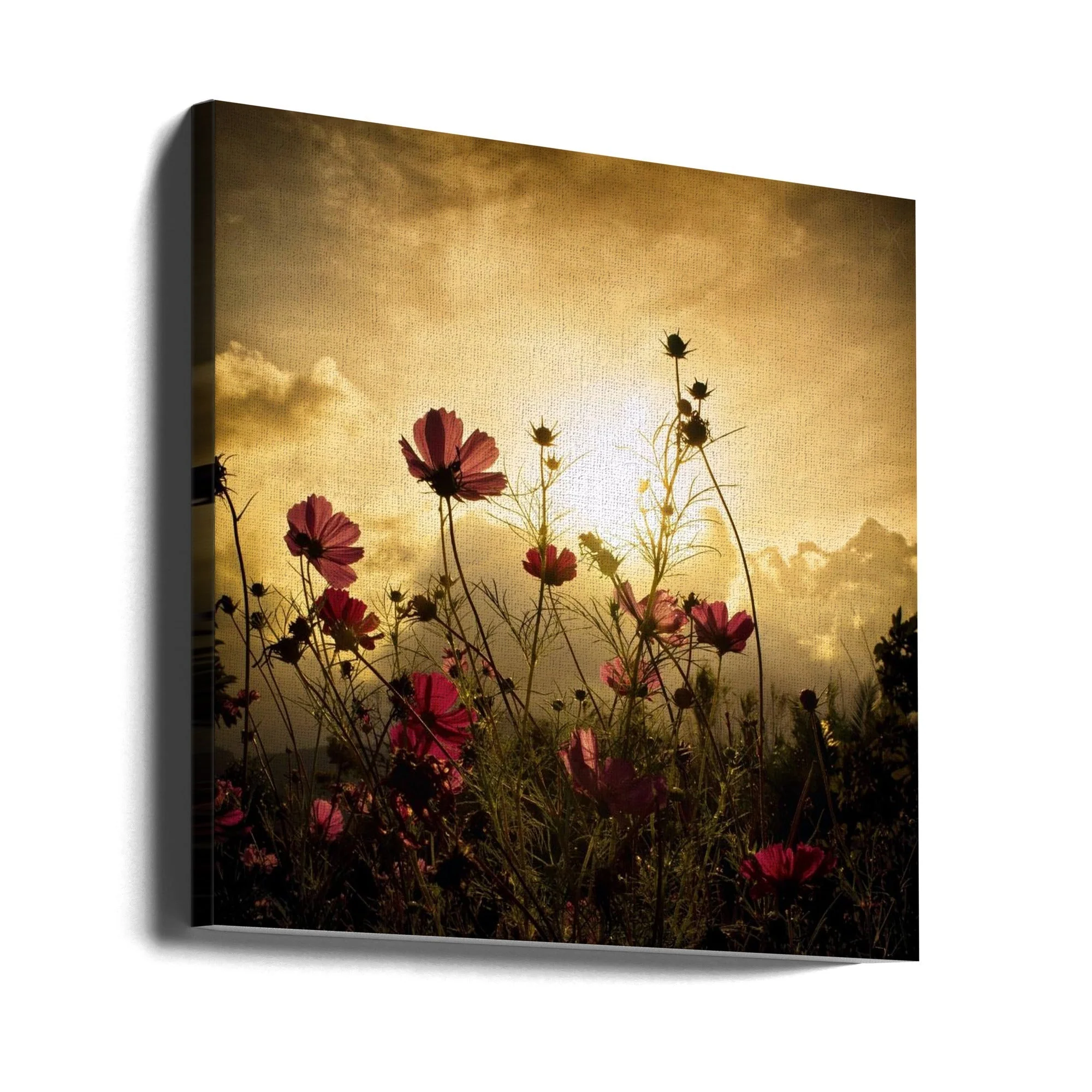 Watching the Sun - Image 10