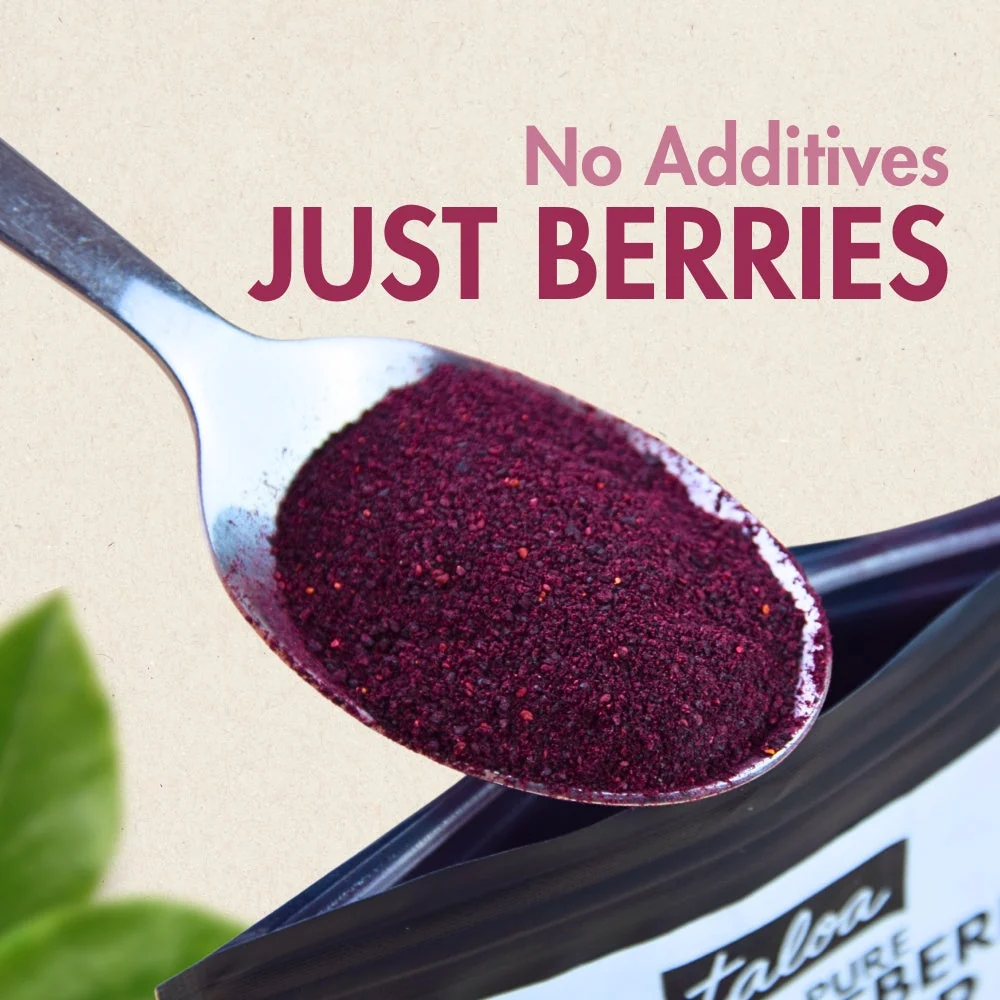 Wild Blueberry Powder 150 g - Made in Canada - Image 3