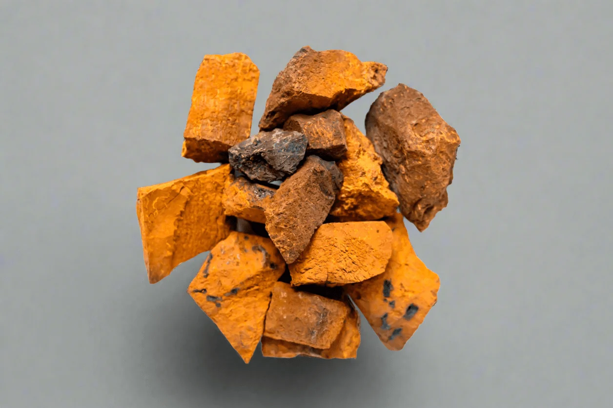Wild Harvested Chaga Mushroom - Image 2