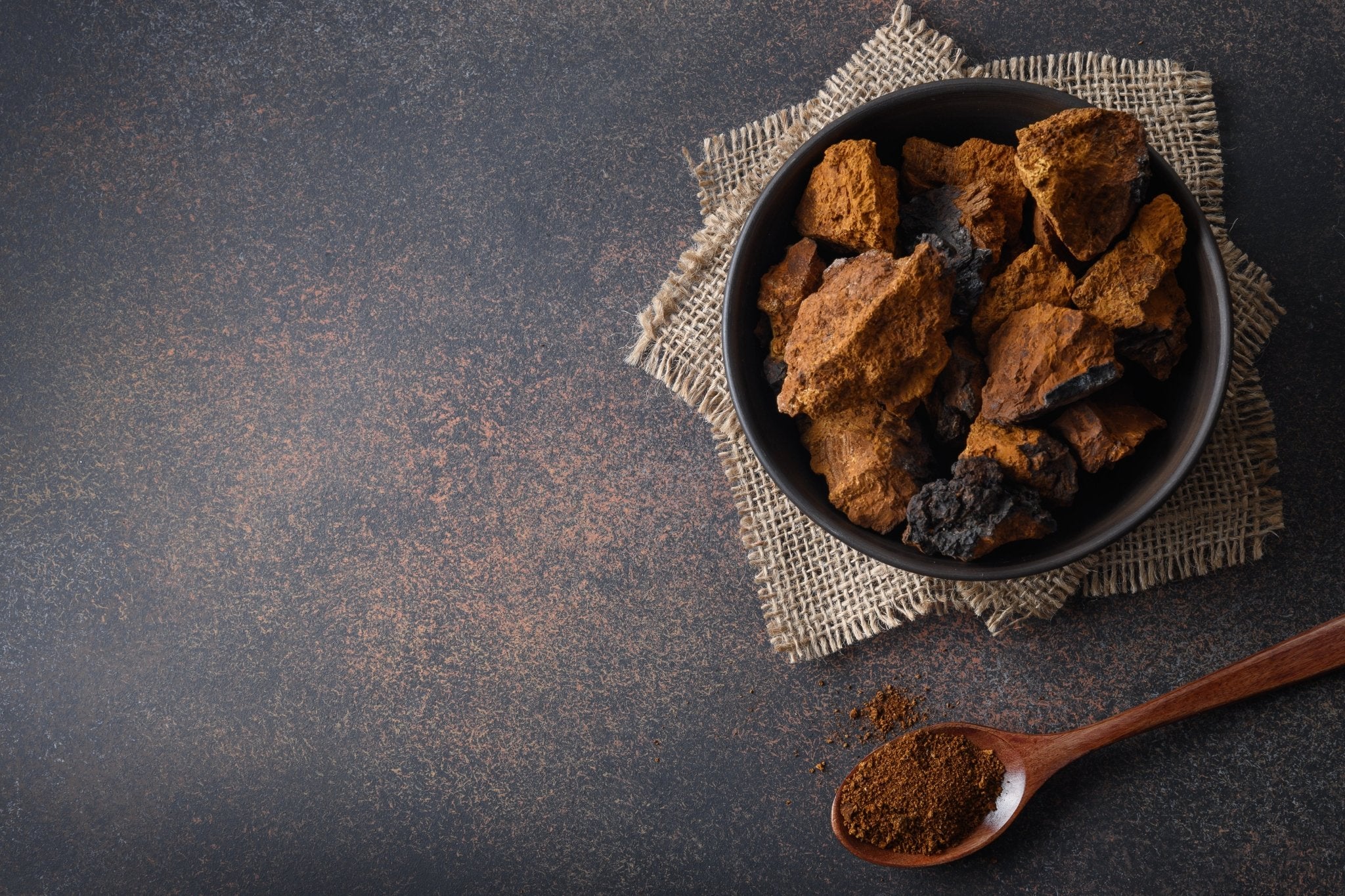 Wild Harvested Chaga Mushroom - Image 4