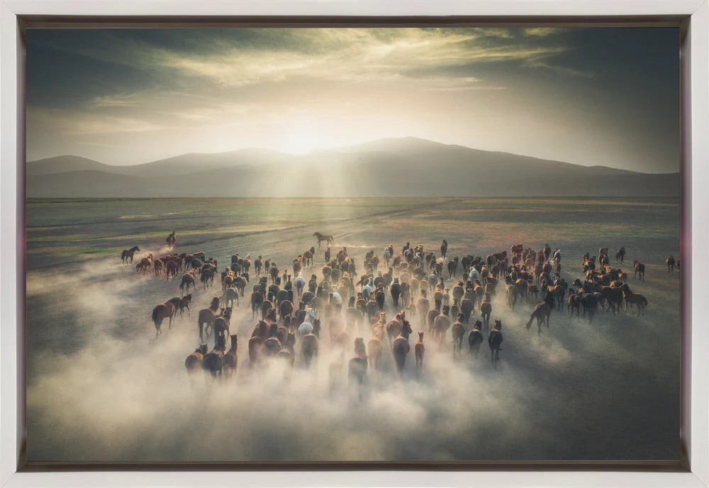 Wild Horses - Image 2