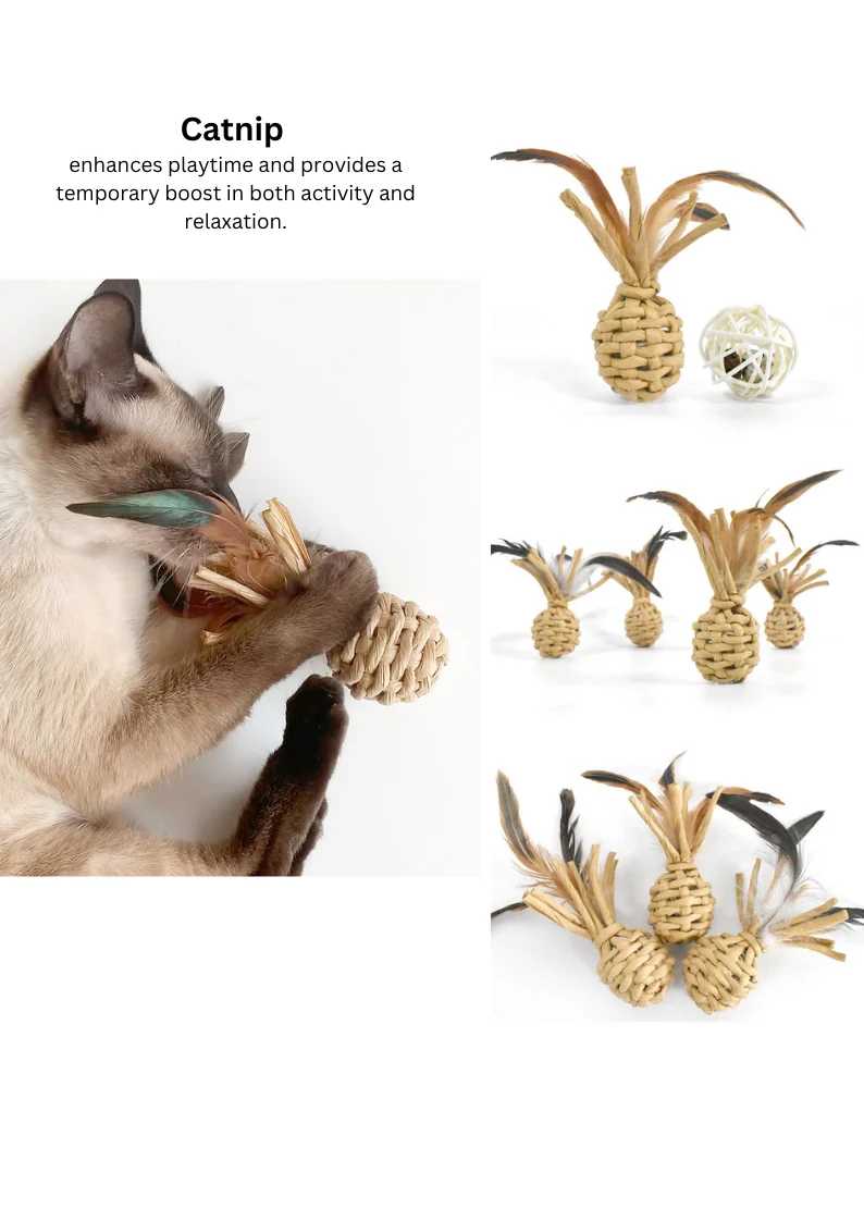 Woven Catnip Pineapple - Image 4