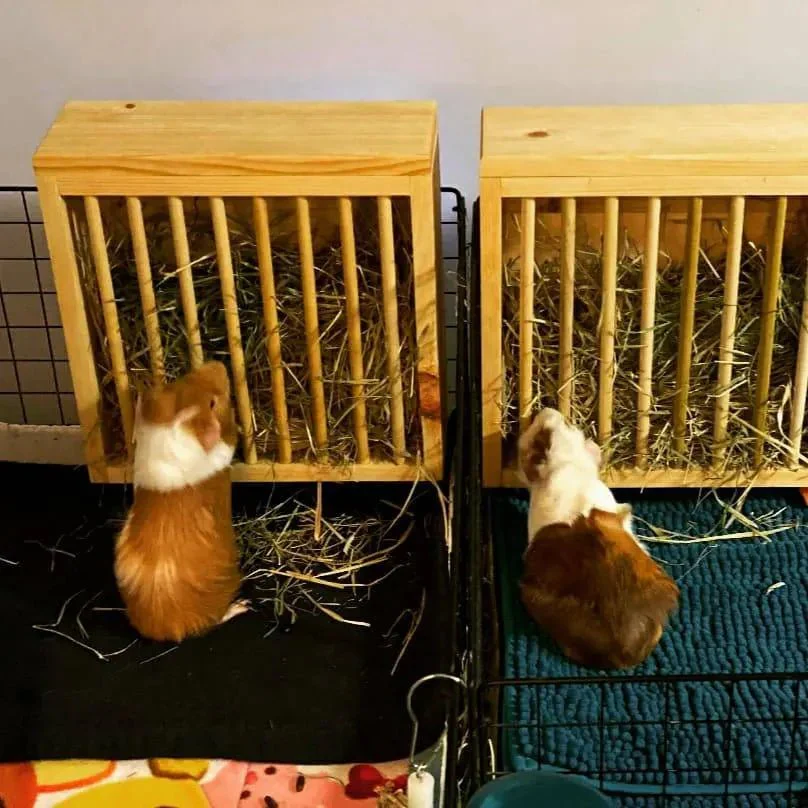 Mounted Hay Feeder for Rabbits & Guinea Pigs - Image 5