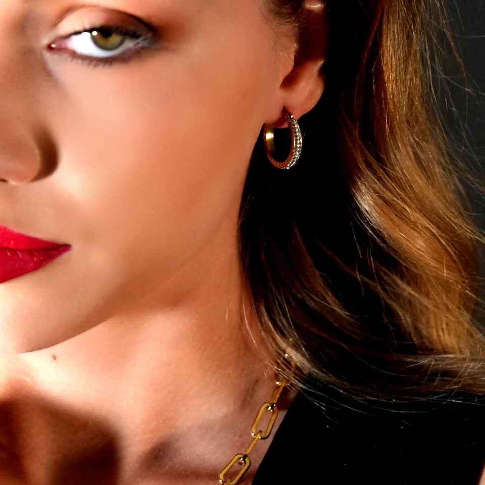 YARA Gold: 'Pavé All the Way' Zirconia Hoop Earrings (Small Size). - Image 2