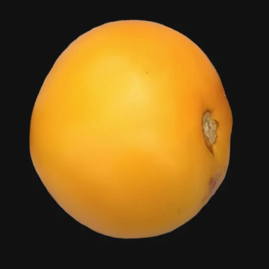 Yellow Taxi Tomato